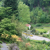 Botanická zahrada v Bad Schandau (© www.bad-schandau.de)