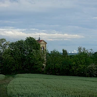 Zříceniný kostel sv. Václava, v pozadí Štětí (© Euroregion Elbe/Labe)